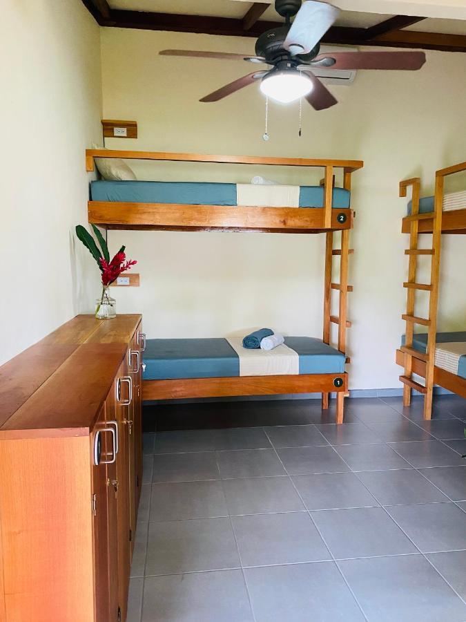 El Hostel Del Patio Тортугеро Екстер'єр фото
