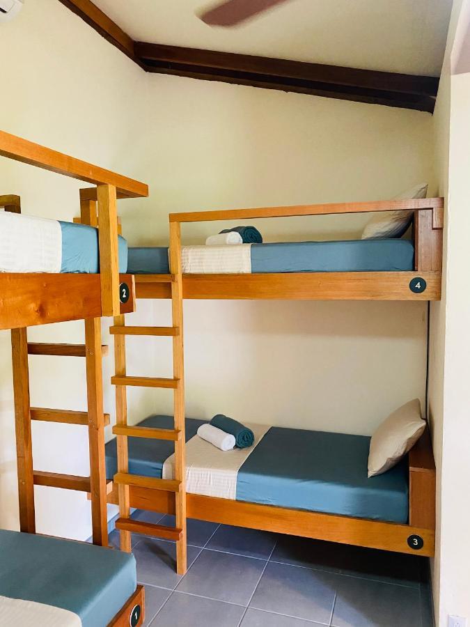El Hostel Del Patio Тортугеро Екстер'єр фото