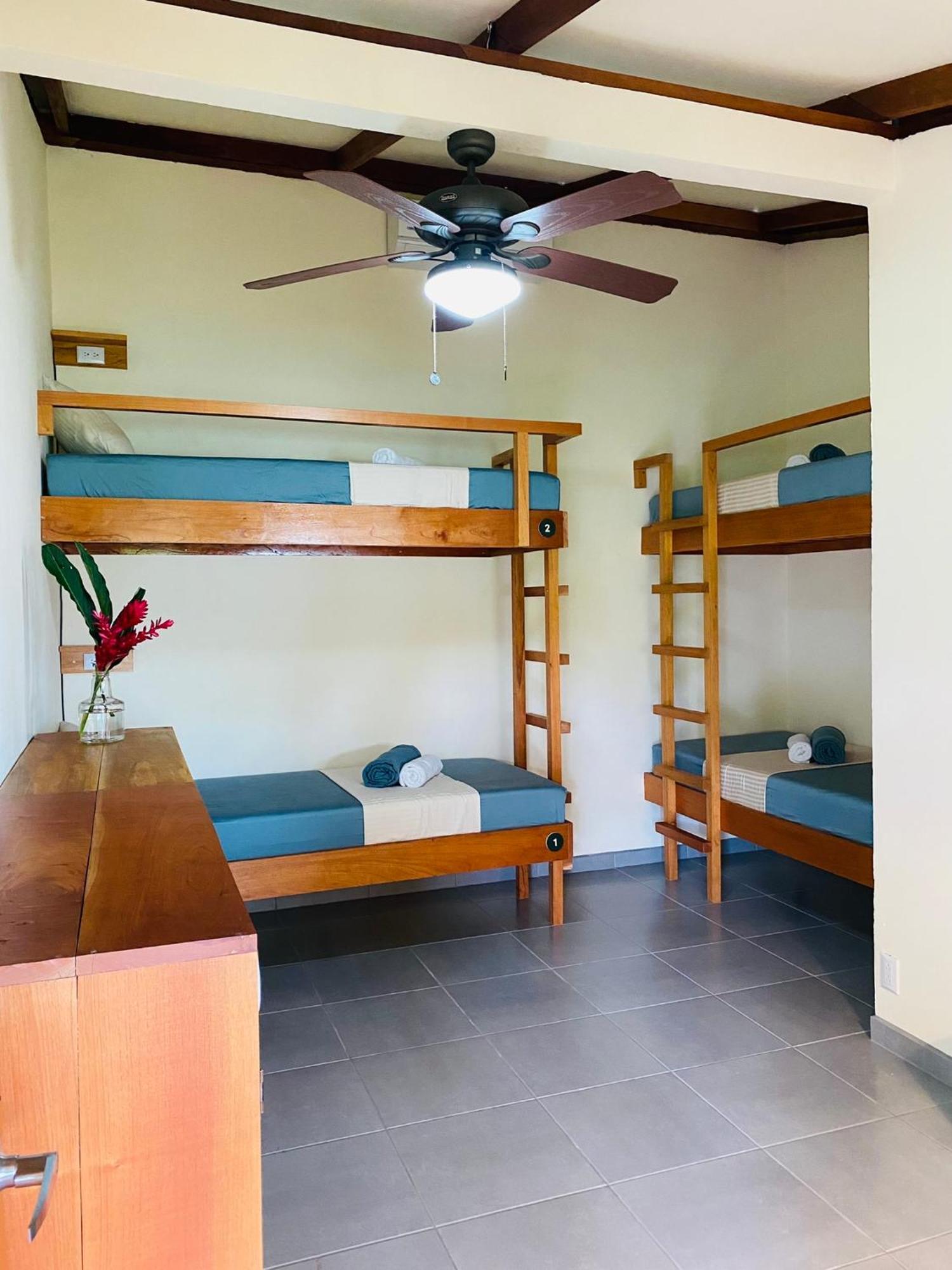 El Hostel Del Patio Тортугеро Екстер'єр фото